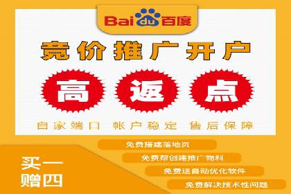 谷歌竞价案例：快速提升品牌影响力的广告策略